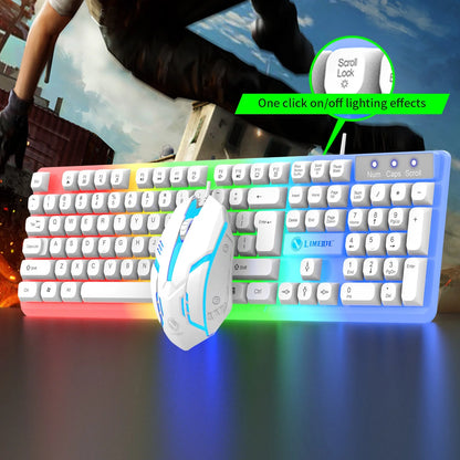 Keyboard, Luminous Keyboard and Mouse Set Hovering Keyboard Mechanical Feeling Gaming Mouse and Keyboard Colourful RGB Lights Wired Keyboard Wired Mouse,Valentines Day Gifts for Him/Her